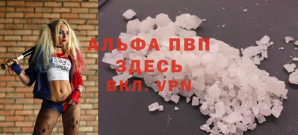 амф Алексин