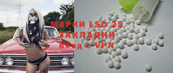 стаф Алзамай