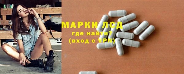 стаф Алзамай