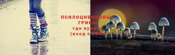 ПСИЛОЦИБИНОВЫЕ ГРИБЫ Алексеевка
