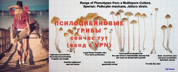 бошки Заводоуковск