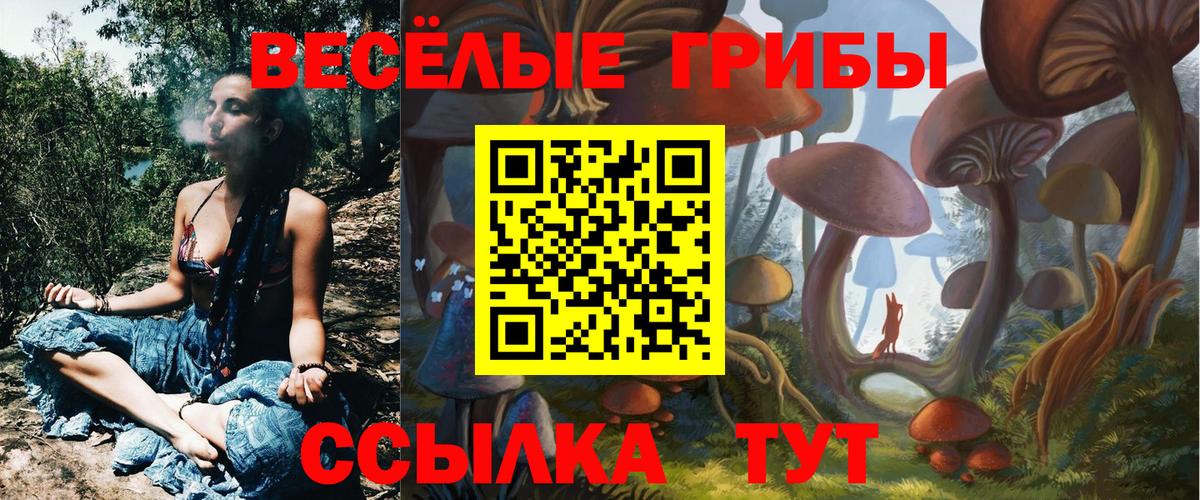 Галлюциногенные грибы мицелий Гусь-Хрустальный