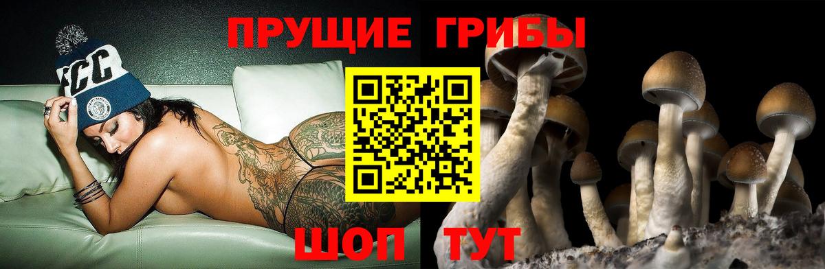 Галлюциногенные грибы Cubensis  дарнет шоп  Гусь-Хрустальный  Вход с VPN 